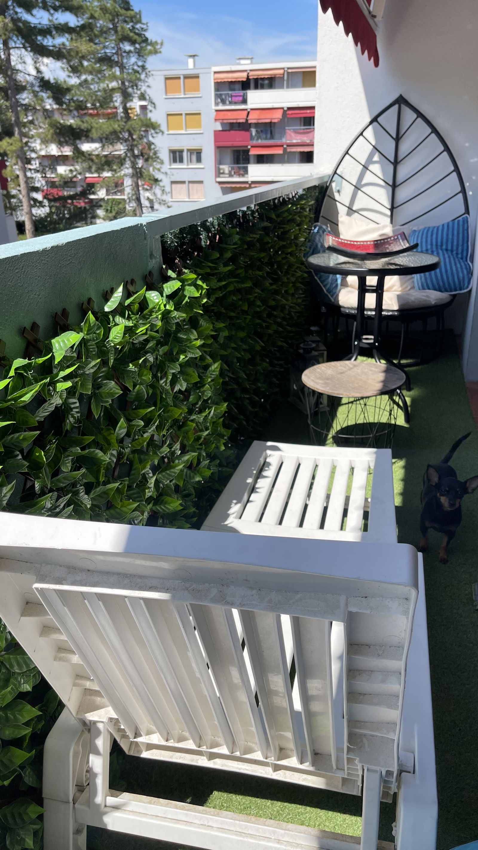 Homestay Montpellier 266896