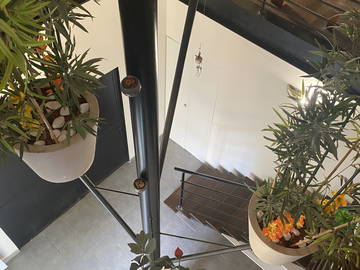 Colocation Paray-Vieille-Poste 293873-5