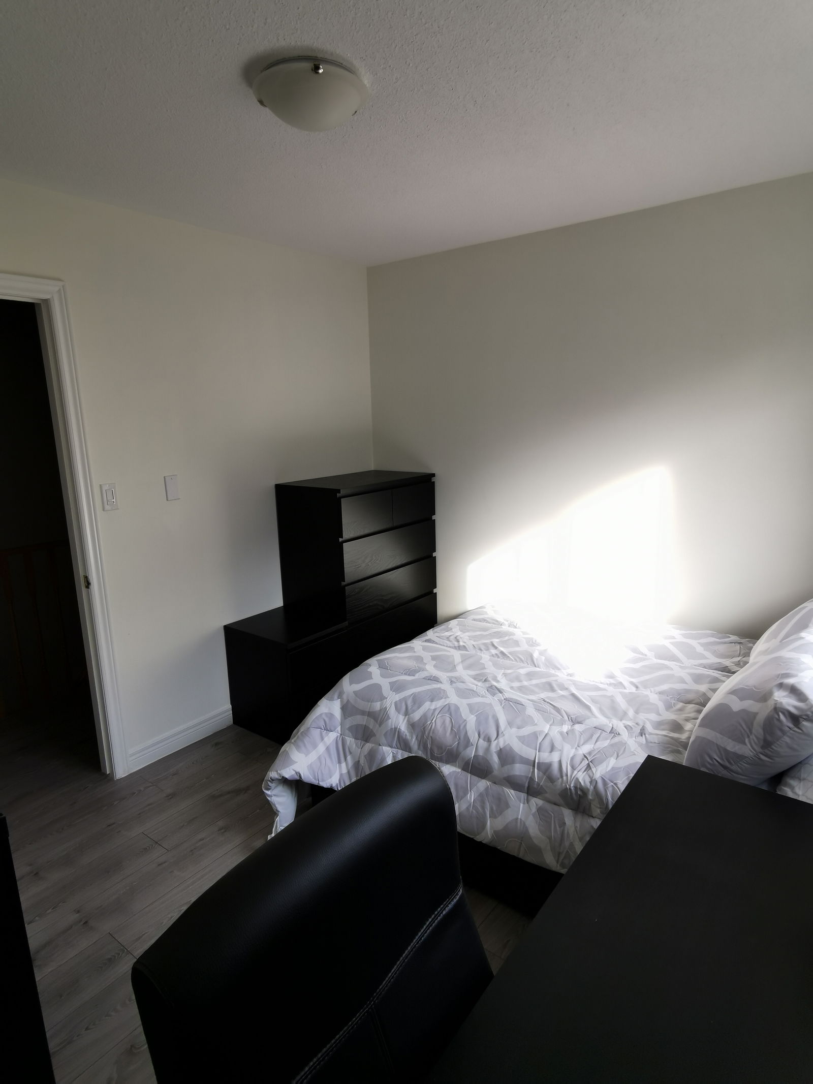 Homestay Mississauga 254481
