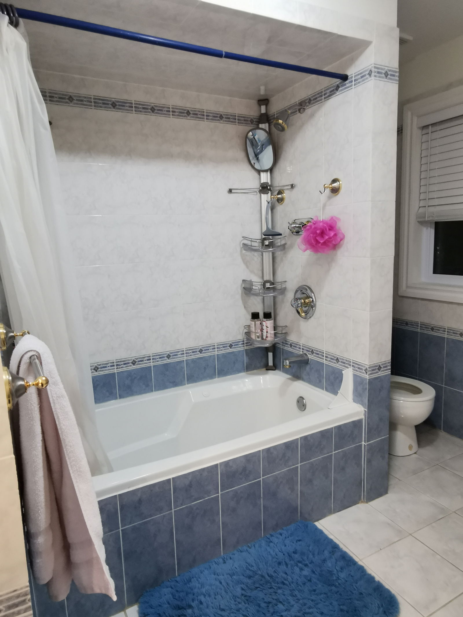 Homestay Mississauga 254481