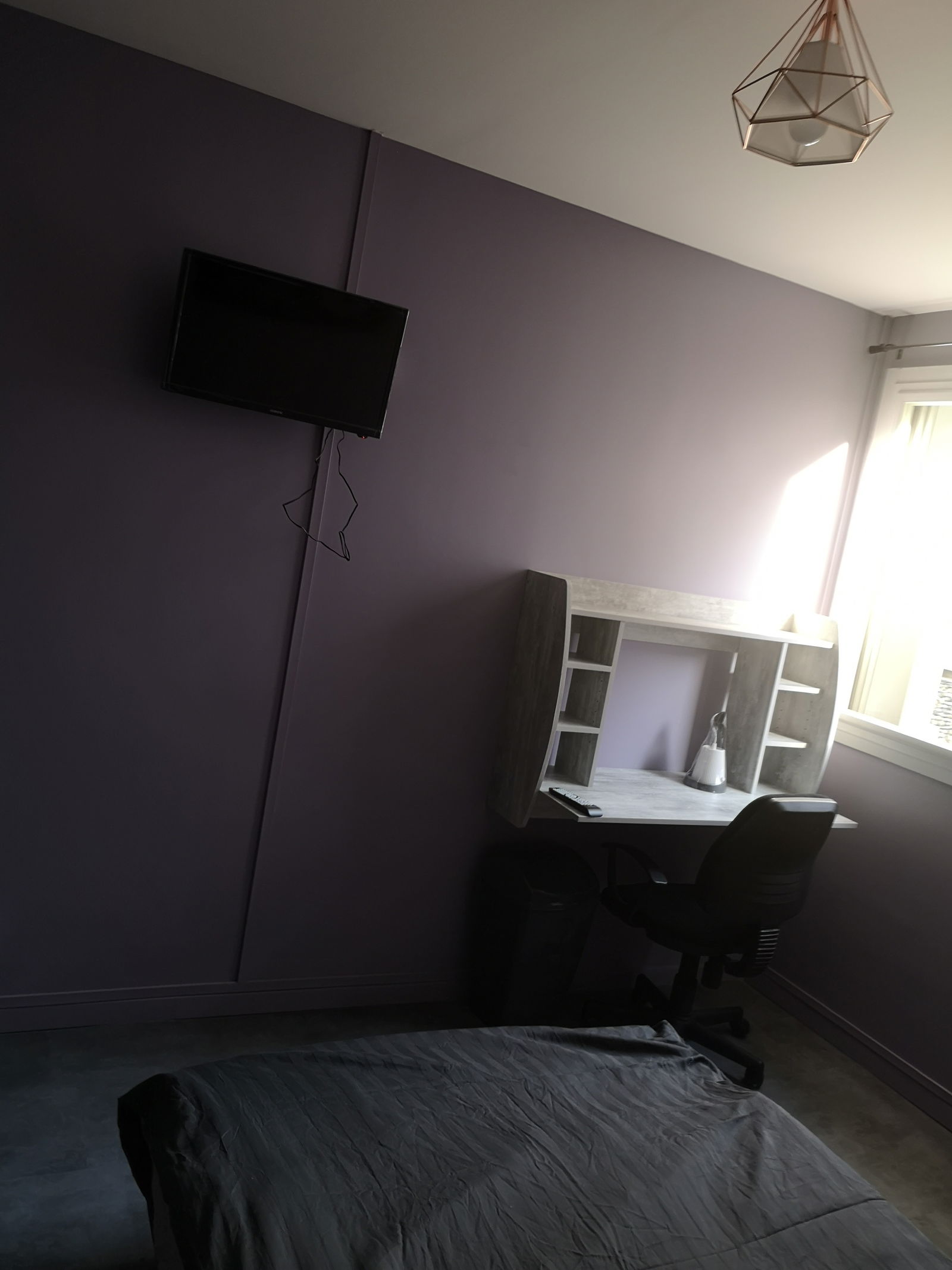 Colocation Toulouse 234257