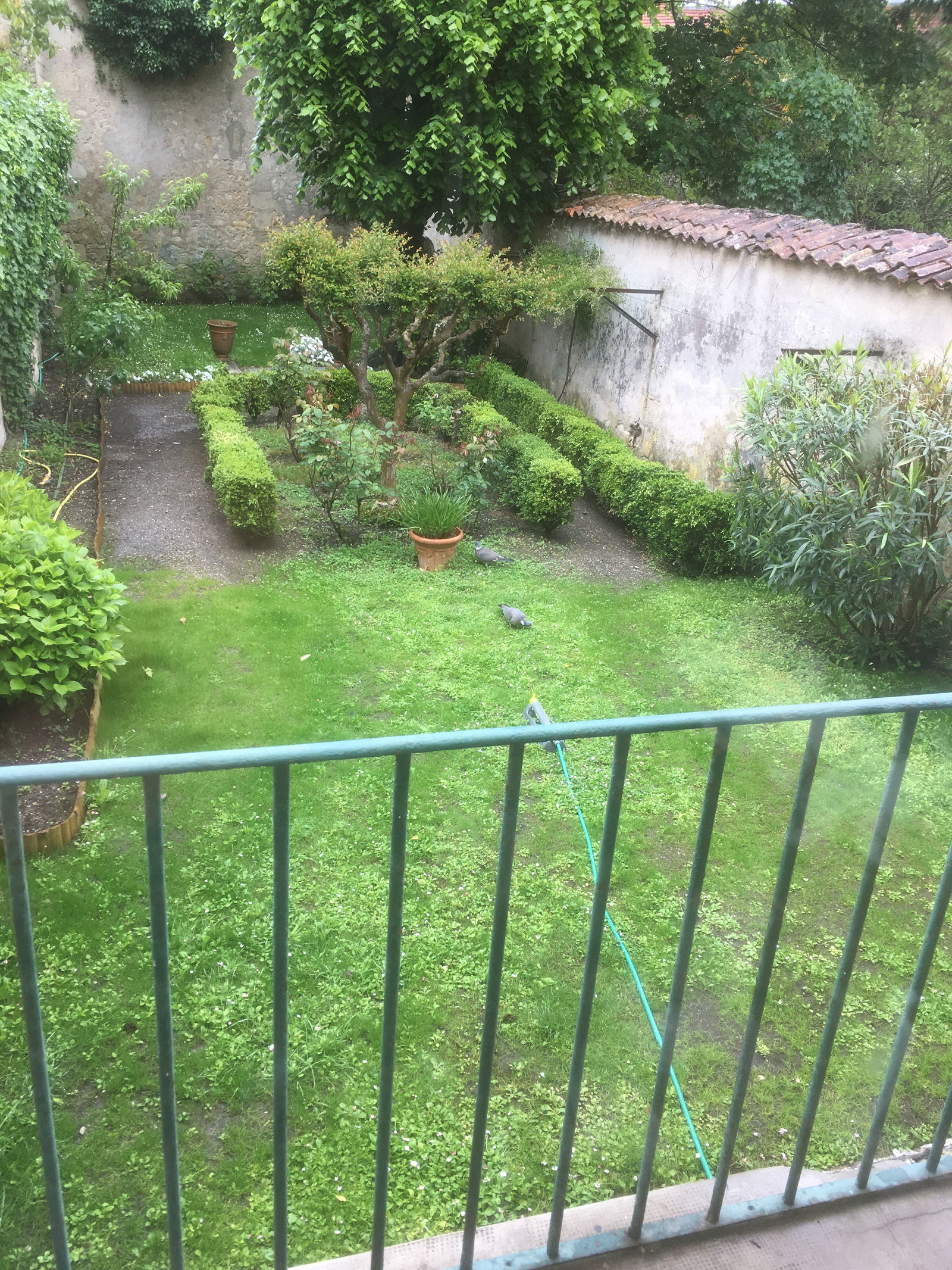 Homestay Bordeaux 159572