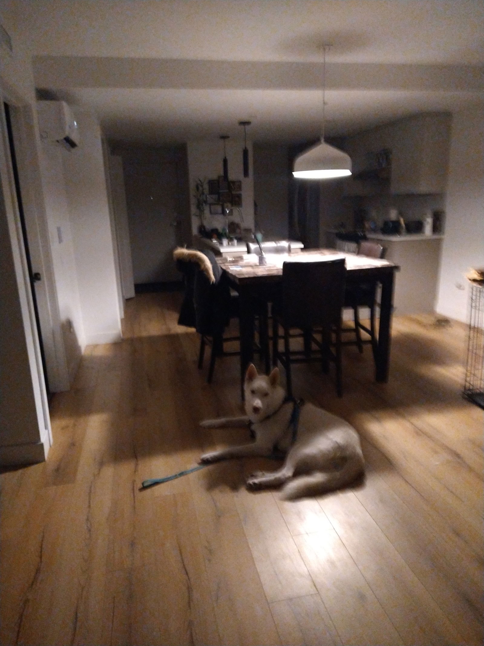 Colocation Québec 652153