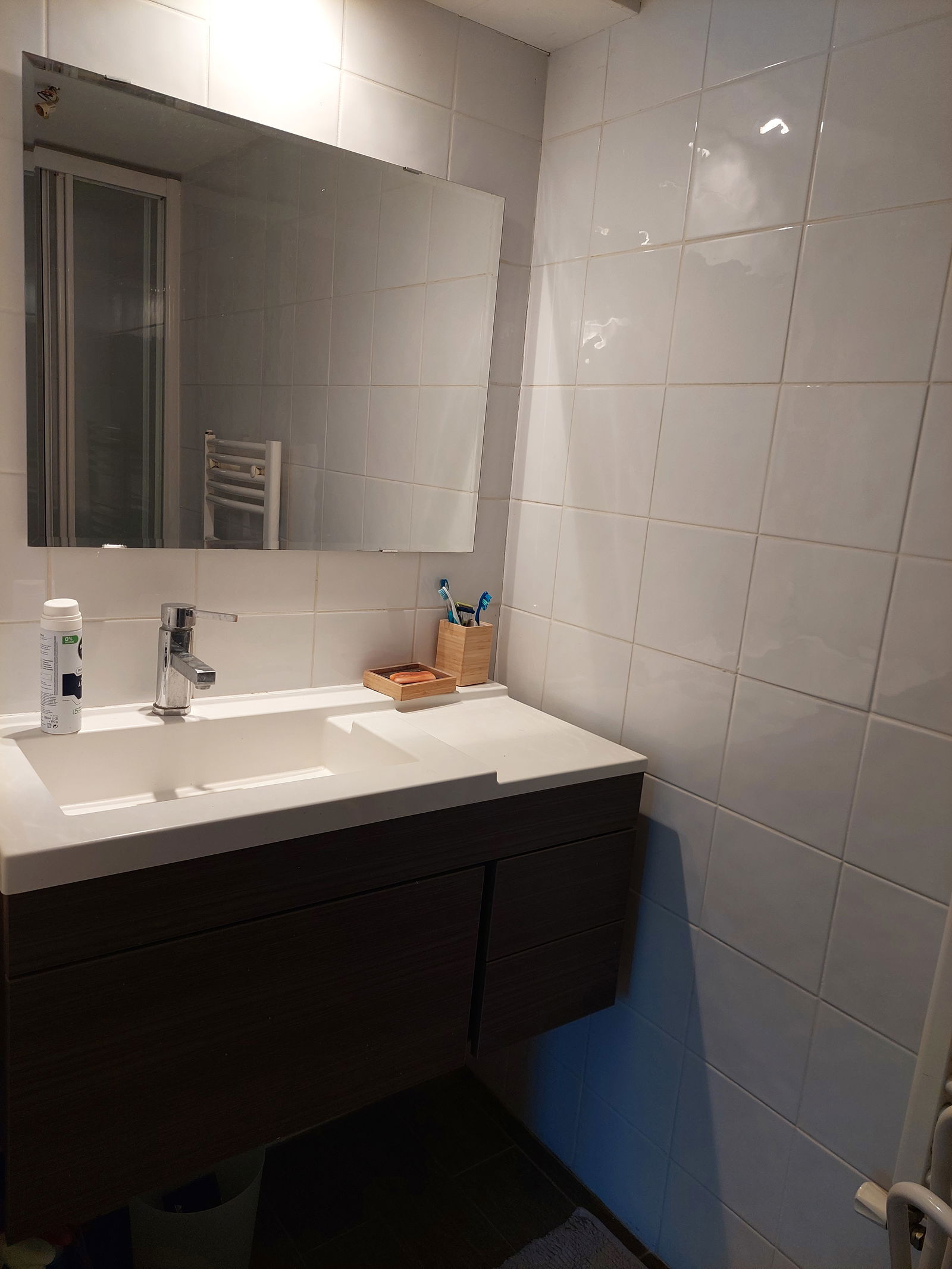 Homestay Tassin-la-Demi-Lune 302917