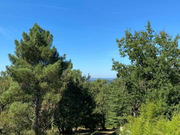 Chambre Chez L'habitant Ussac 409643-5