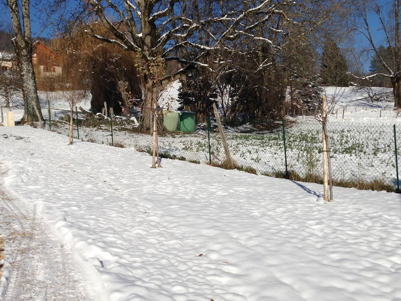 Quedarse En Casa Theys 216922-3