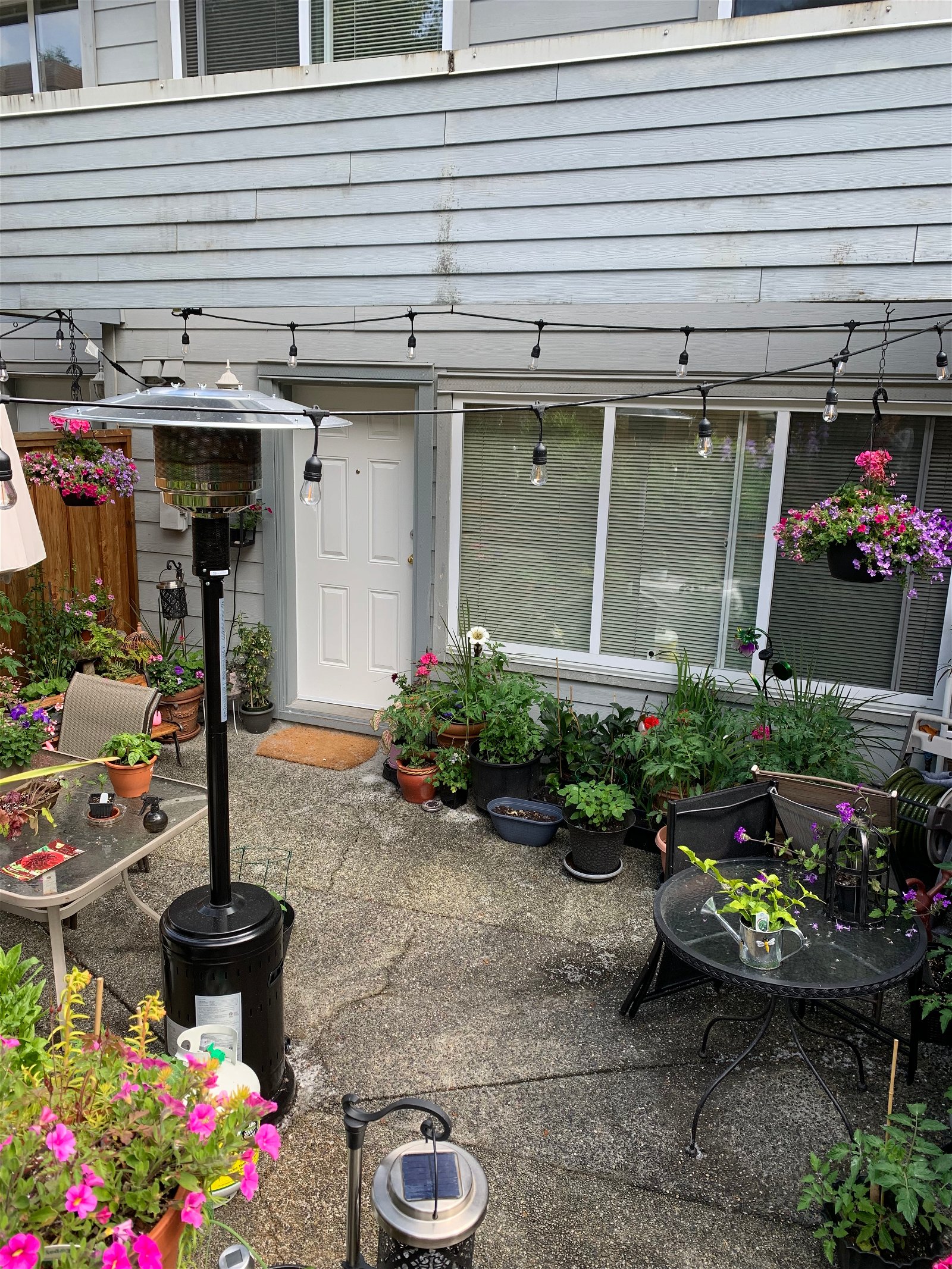 Homestay Port Moody 260660