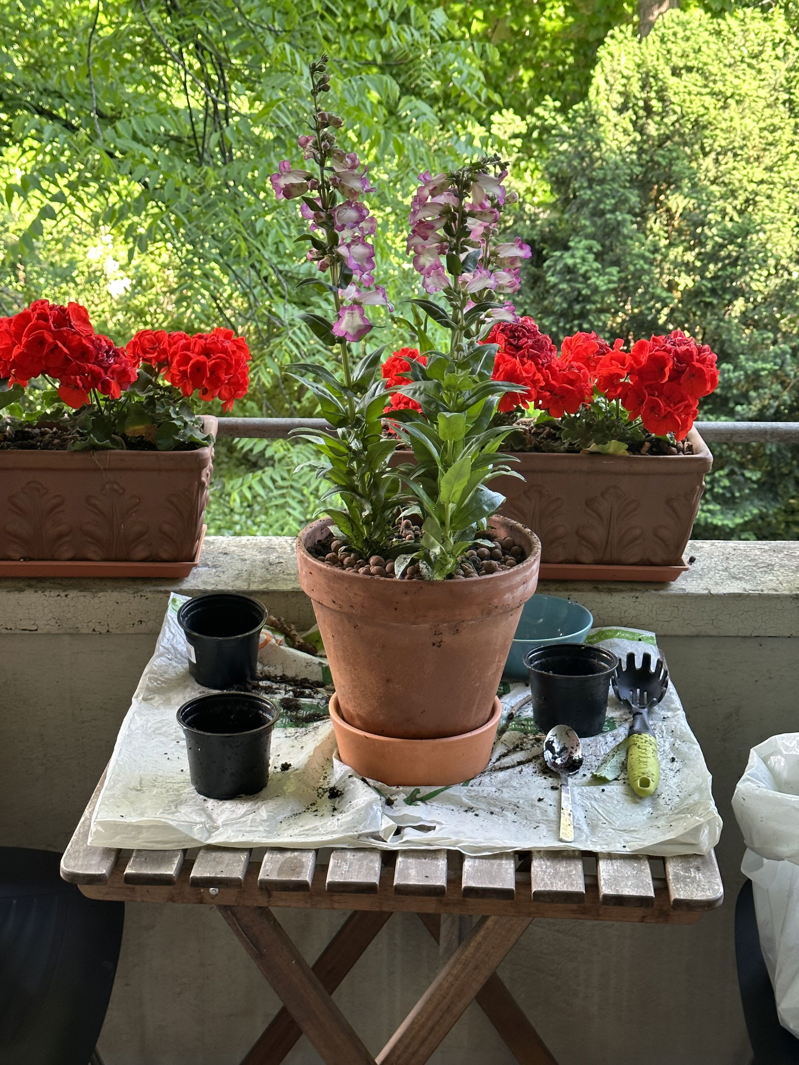 Homestay Basel 528850