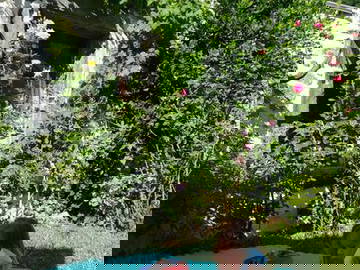 Chambre Chez L'habitant Tencin 305542-8