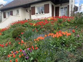 Camera da letto in casa con giardino fiorito