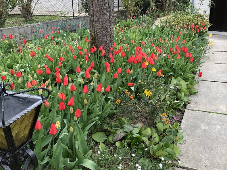 Hospedagem Em Casa De Família Gretz-Armainvilliers 269365-2