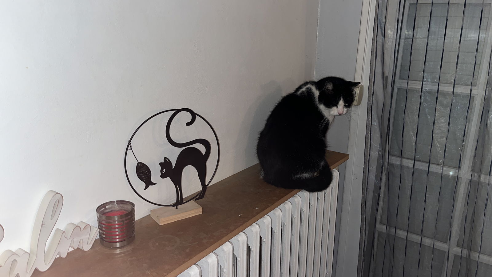 Homestay Pessac 338804