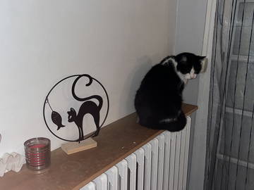 Chambre Chez L'habitant Pessac 338804-4