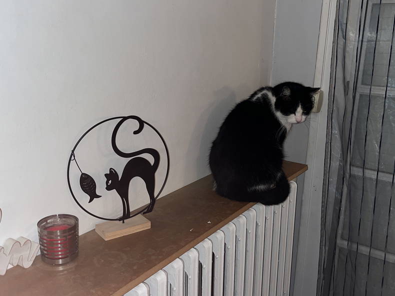 Hemvistelse Pessac 338804-4