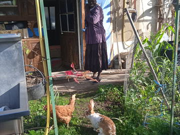 Chambre Chez L'habitant Saint-Antoine-L'abbaye 342620-4