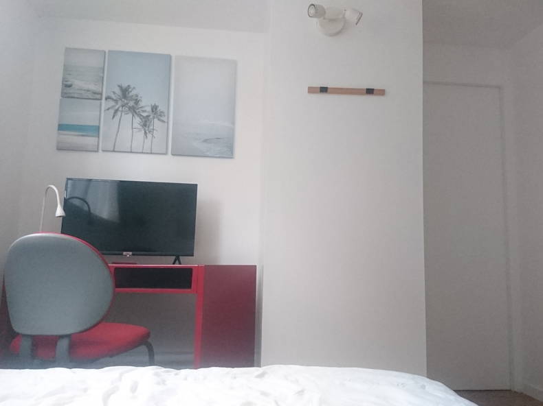 Chambre Chez L'habitant Lille 253798-3