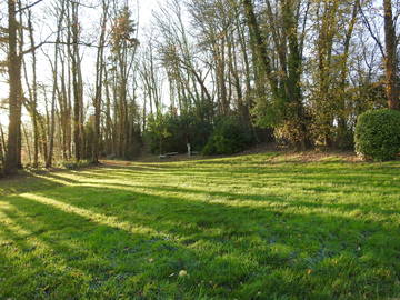 Chambre D'hôte Avesnes-En-Bray 123446-4