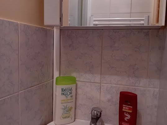 Chambre Chez L'habitant Chelles 374434-2