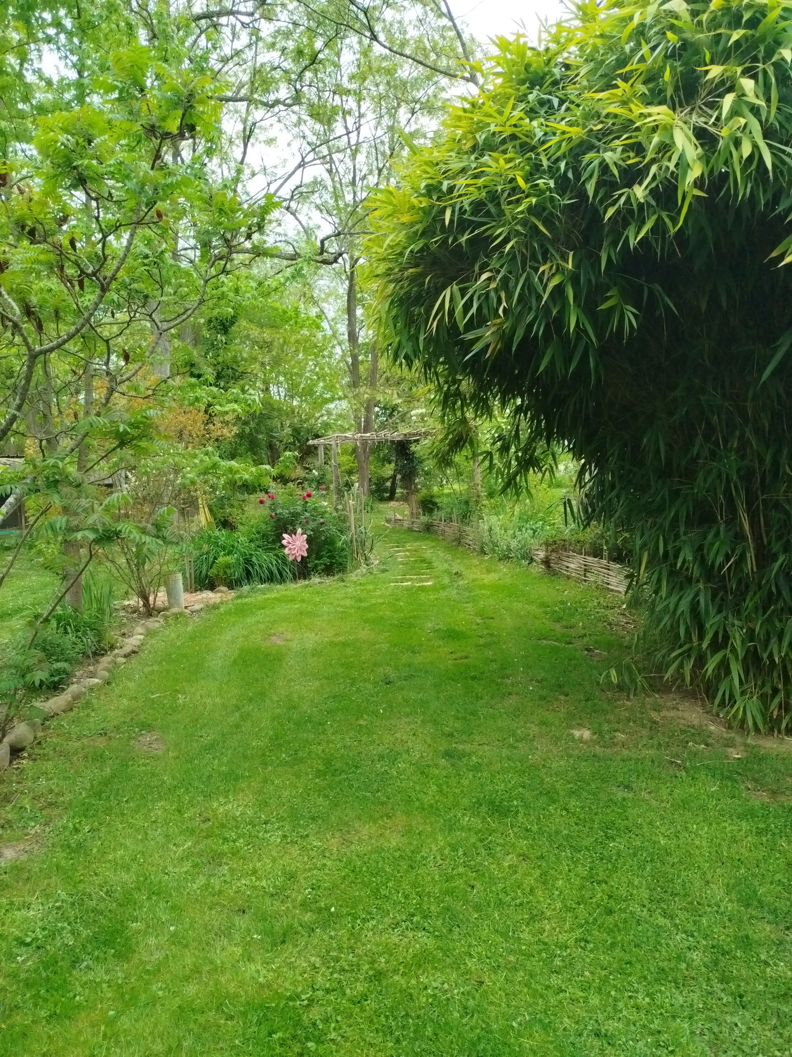 Homestay Libaros 376215