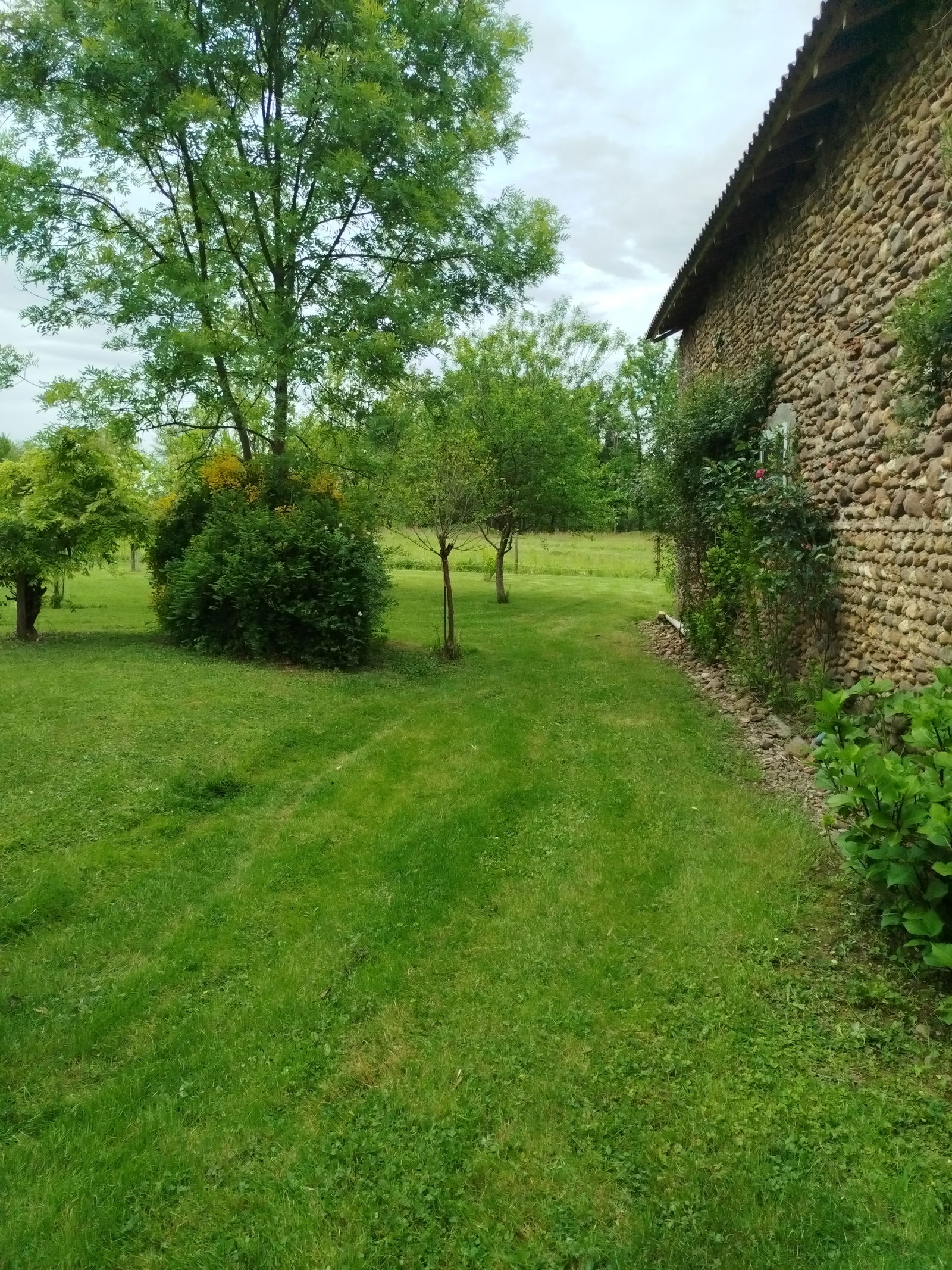 Homestay Libaros 376215