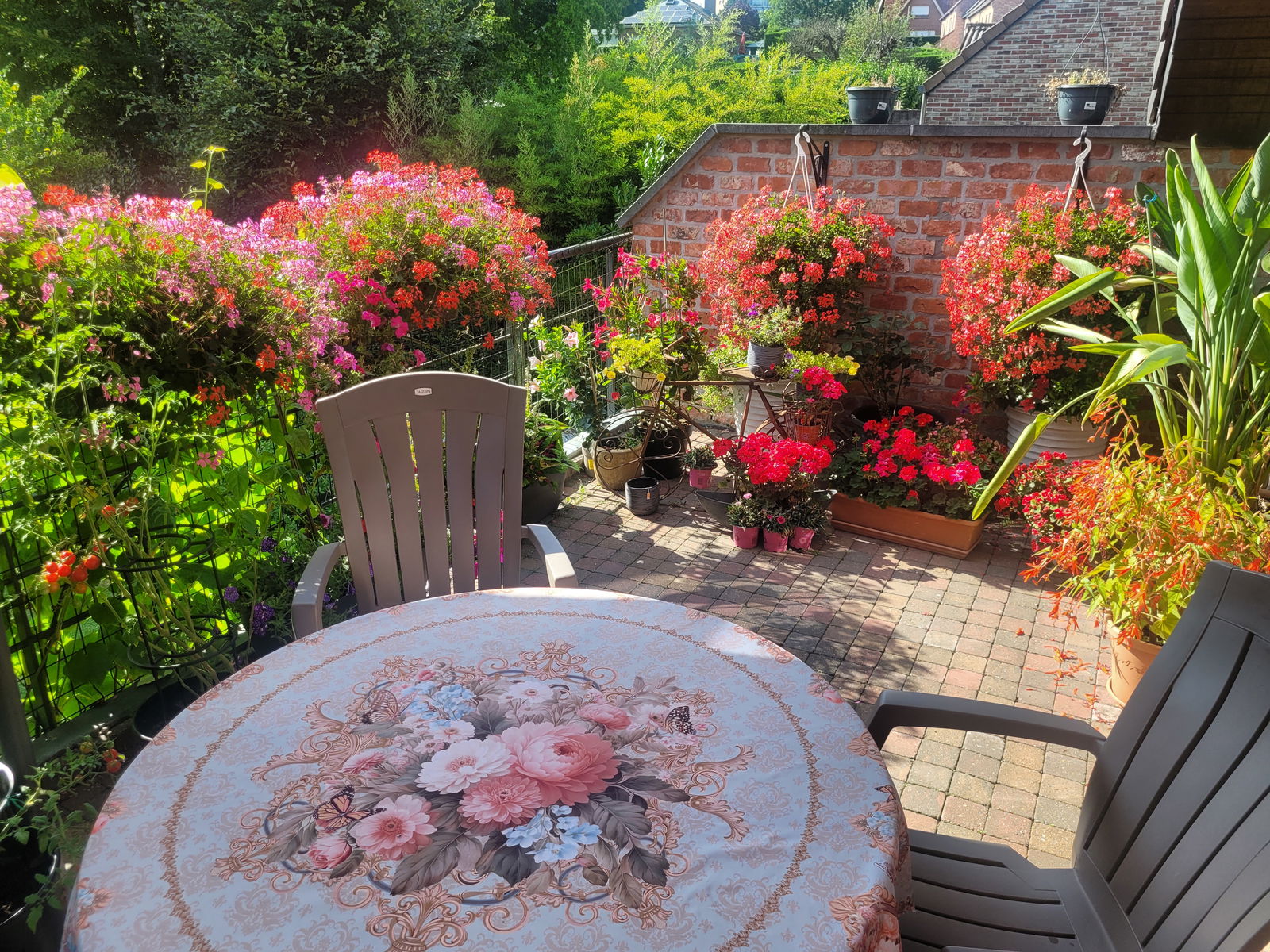 Homestay Wavre 591464