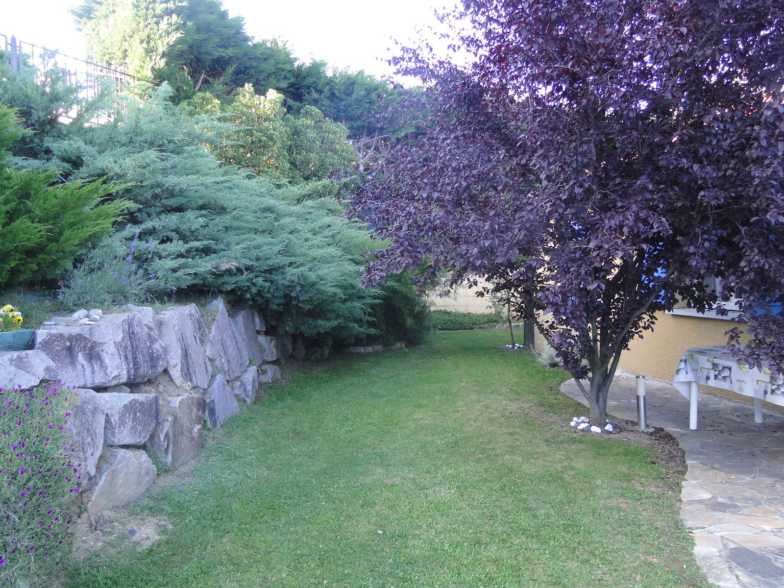 Homestay Unieux 29857