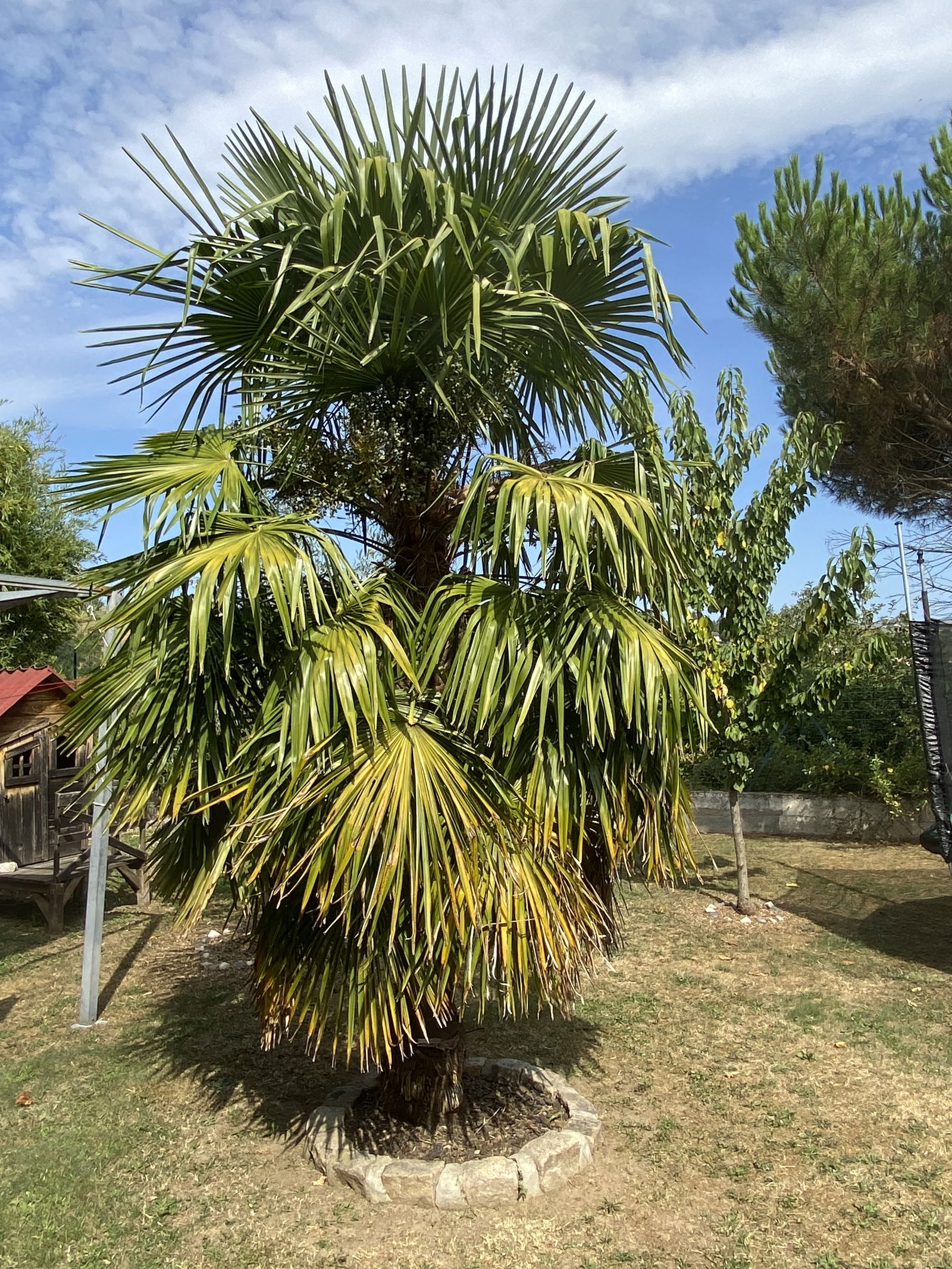 Homestay Unieux 29857