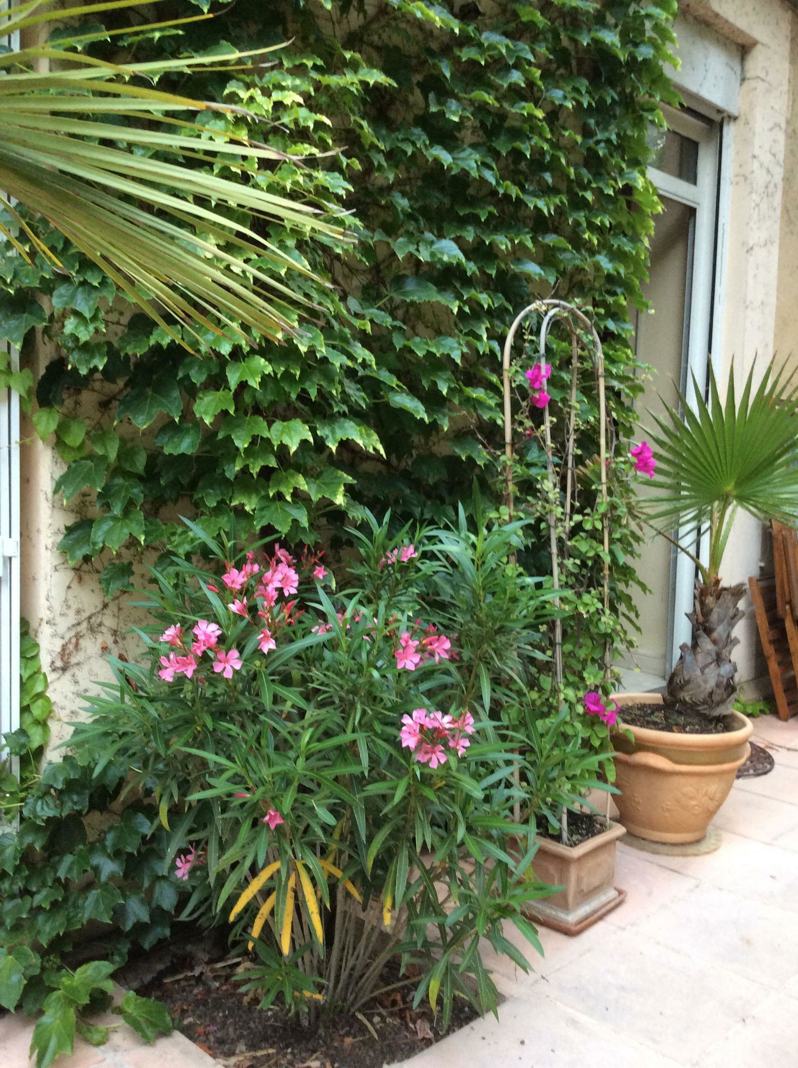Homestay Tassin-la-Demi-Lune 13564
