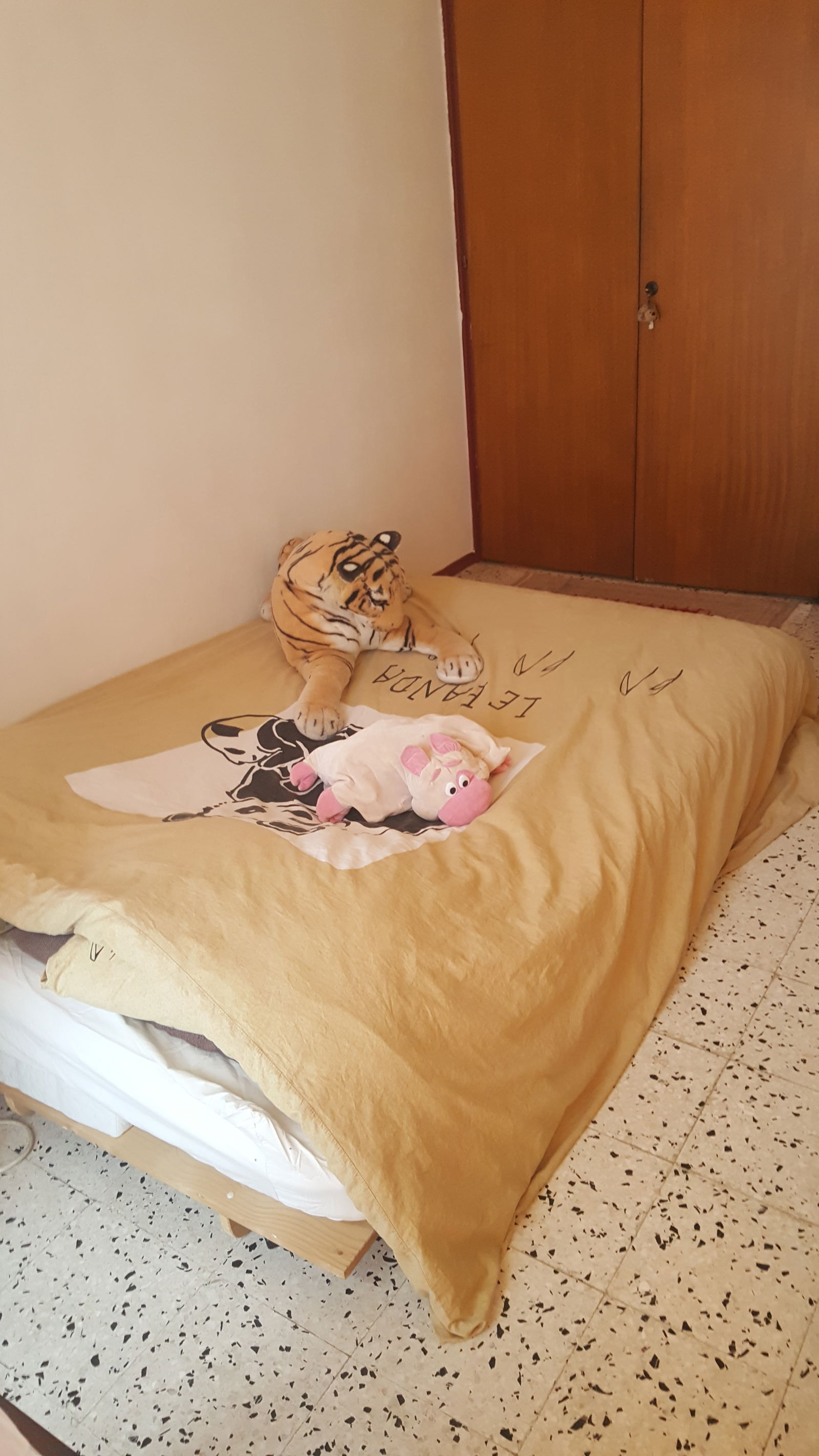 Homestay Montpellier 249926