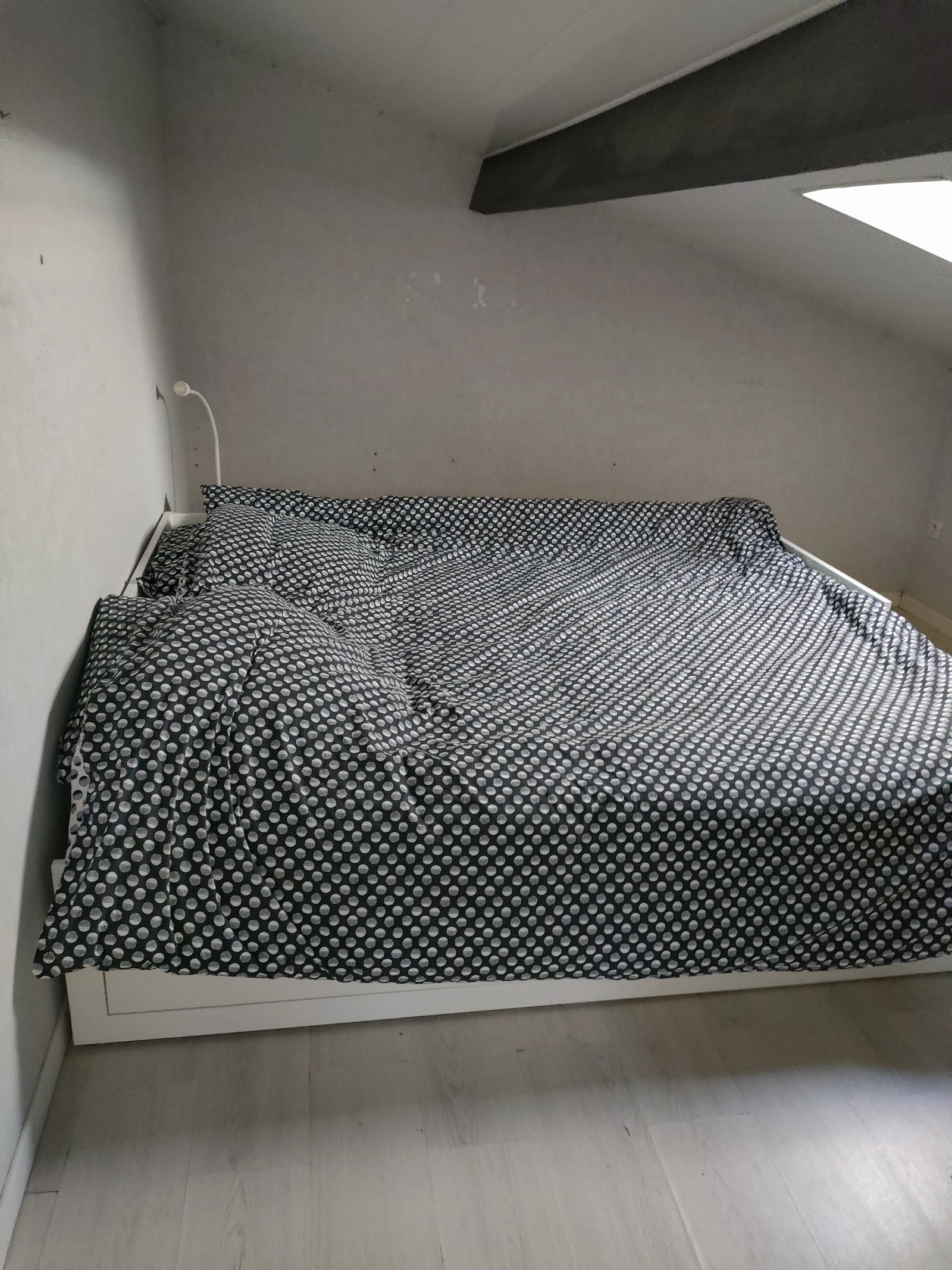 Colocation Roques 309283