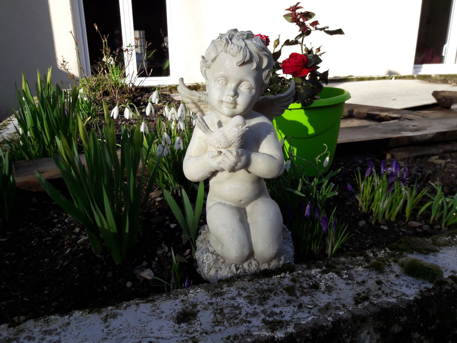 Homestay Mont-Saint-Jean 198159