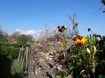 Chambre Chez L'habitant Mont-Saint-Jean 198159-12