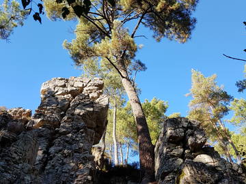 Chambre Chez L'habitant Mont-Saint-Jean 198159-13