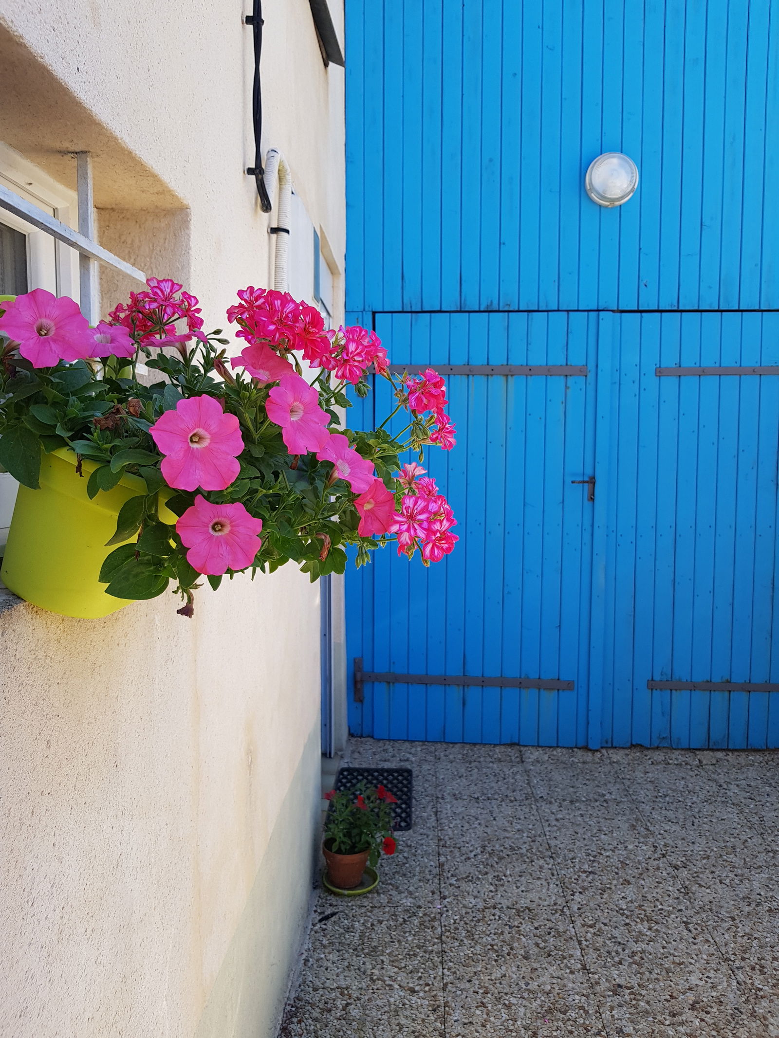 Homestay Mont-Saint-Jean 198159