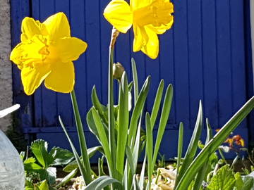 Chambre Chez L'habitant Mont-Saint-Jean 198159-16