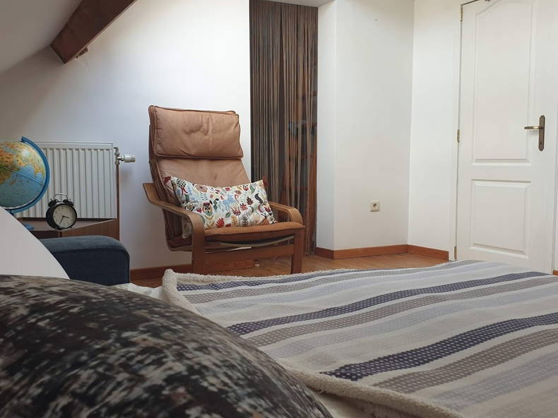 Kolokasie Charleroi 241537-2