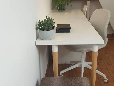 Kolokasie Charleroi 241537-3