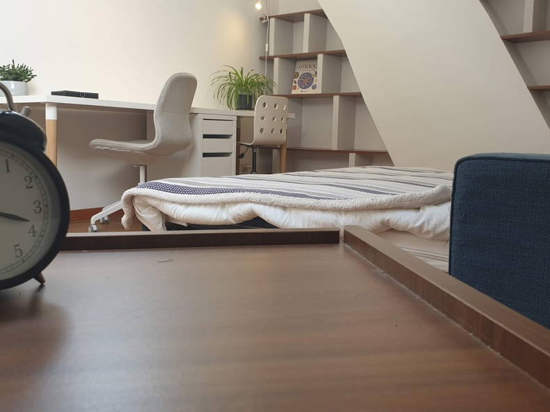 Kolokasie Charleroi 241537-5