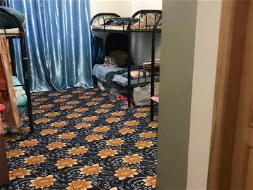 Chambre À Louer Dubai 213959-1