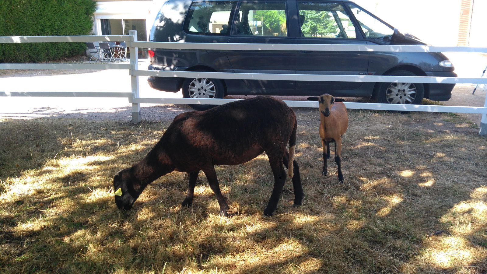Gaascht Zëmmeren La Couture-Boussey 12632