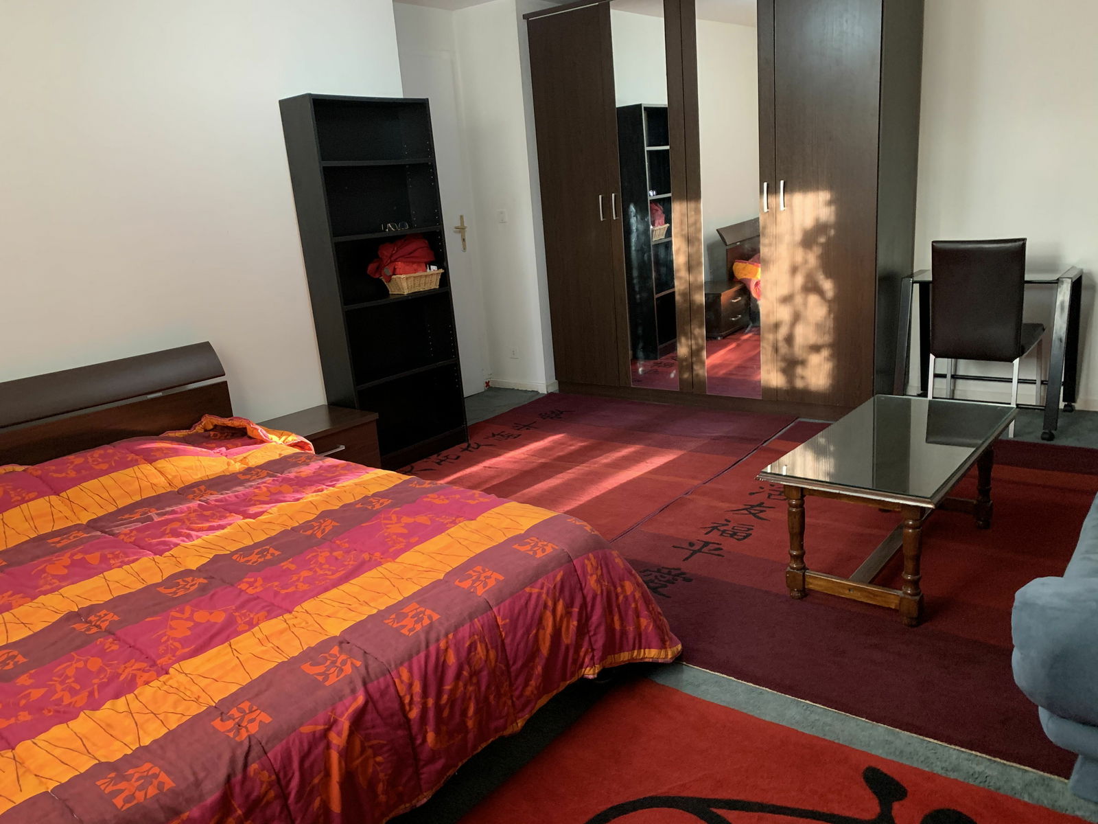 Colocation Ferney-Voltaire 254813