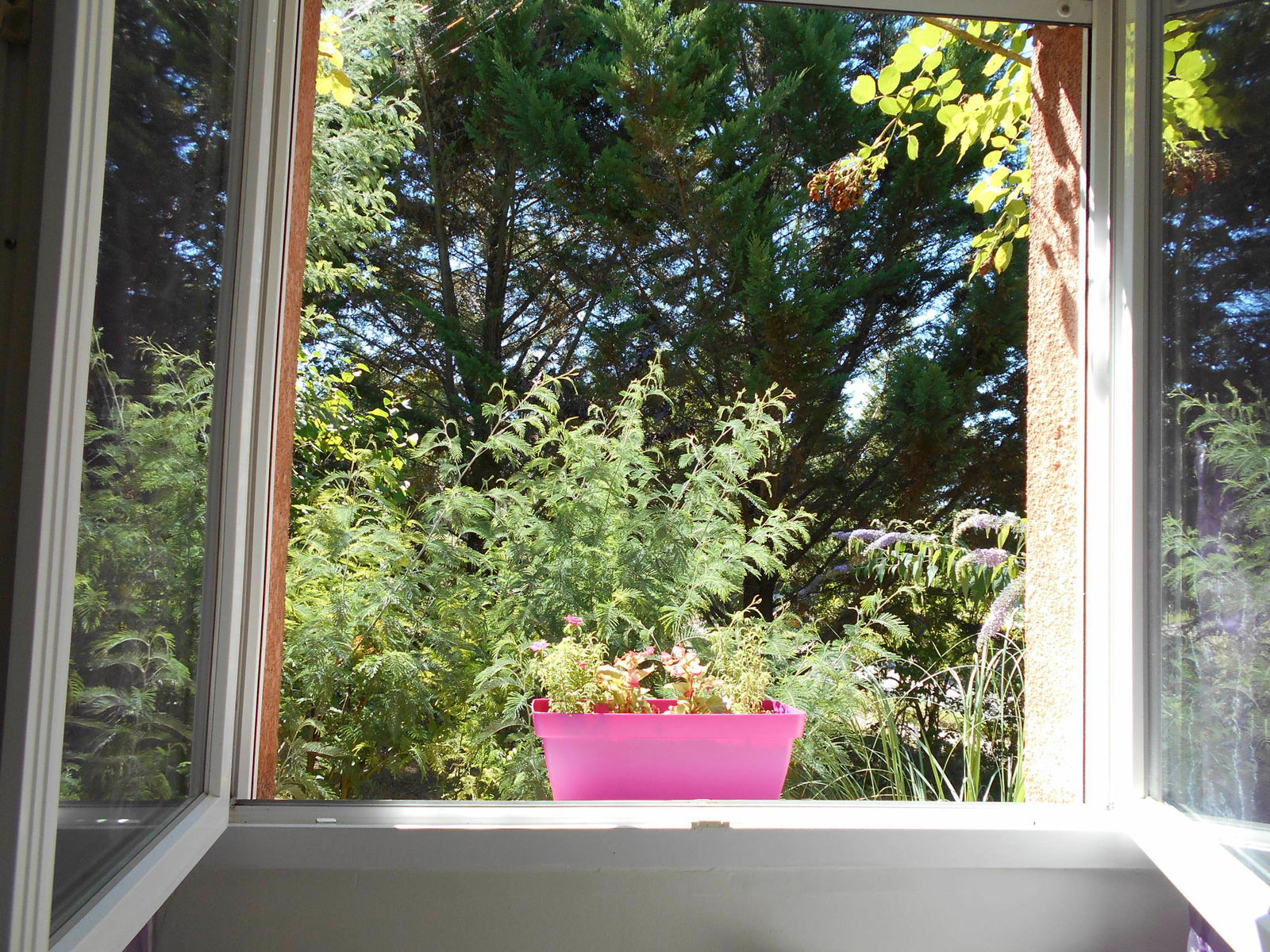 Gastfamilie Auterive 141661