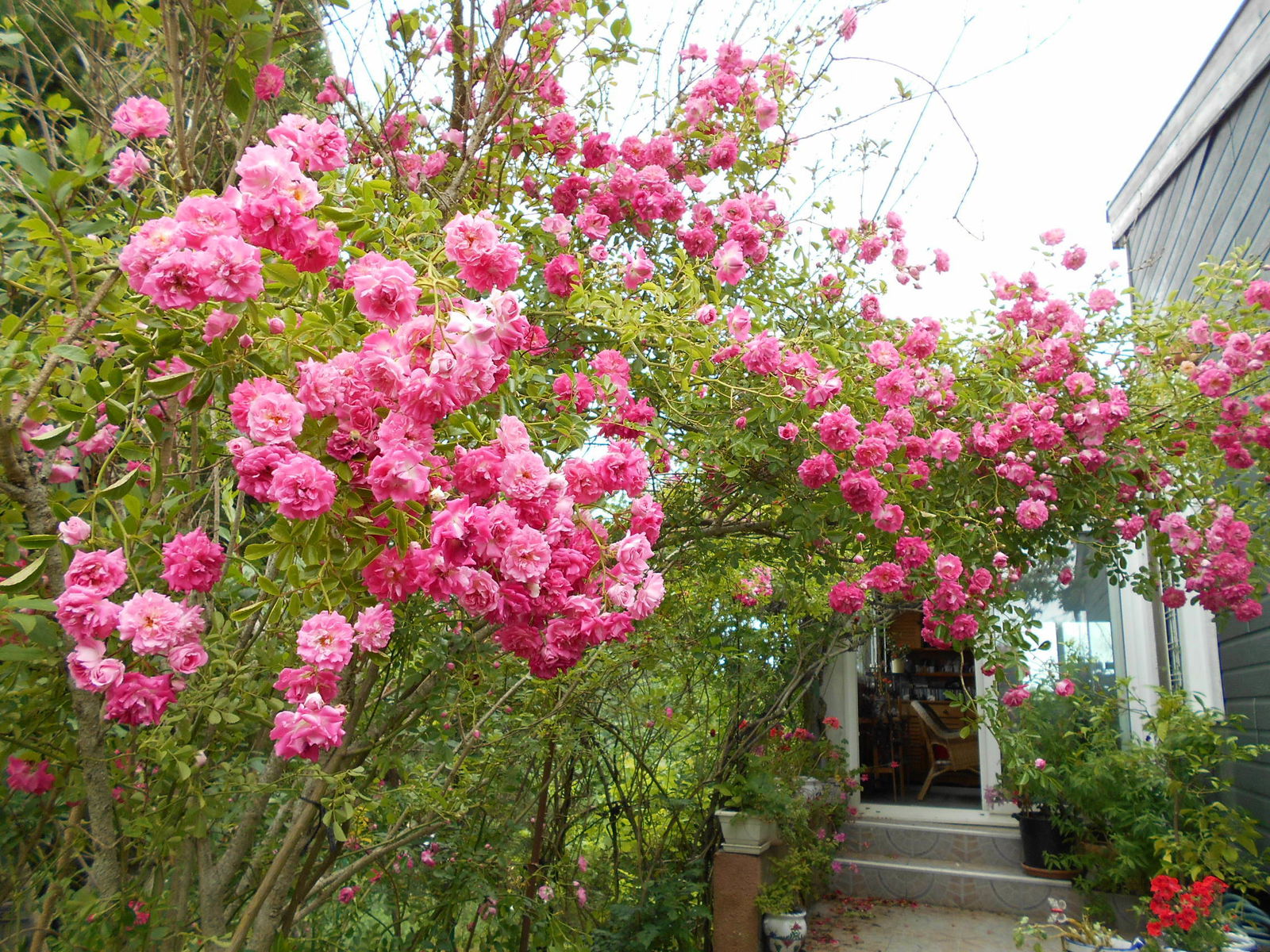 Gastfamilie Auterive 141661