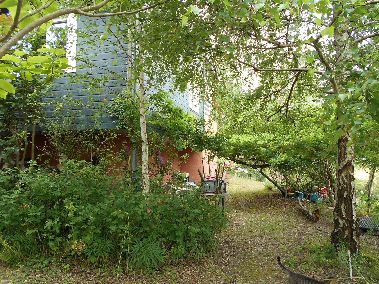 Gastfamilie Auterive 141661