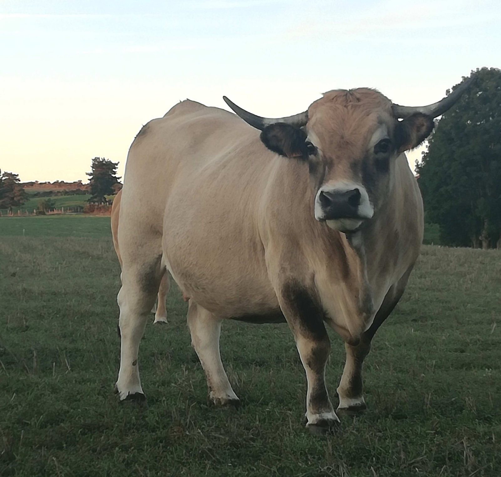 Gastfamilie Monts-de-Randon 250398