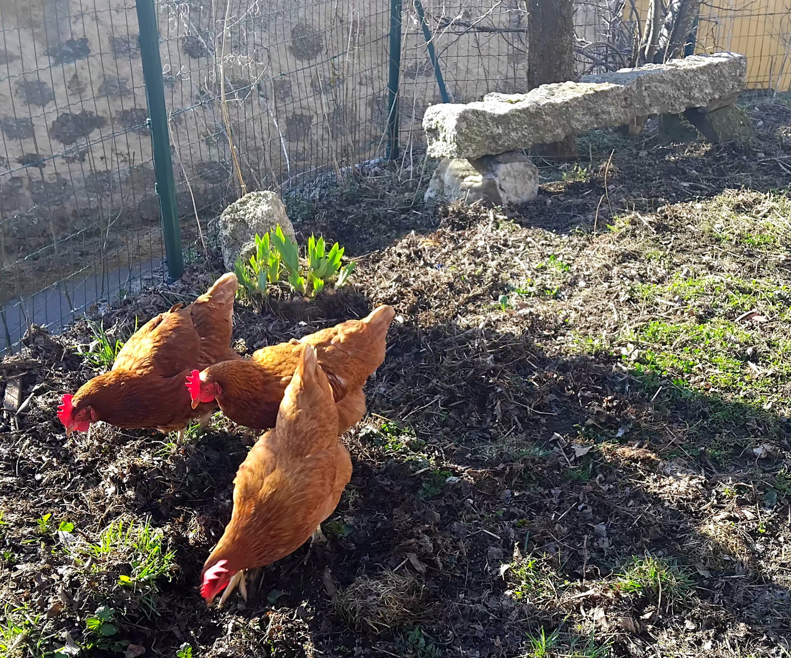 Gastfamilie Monts-de-Randon 250398