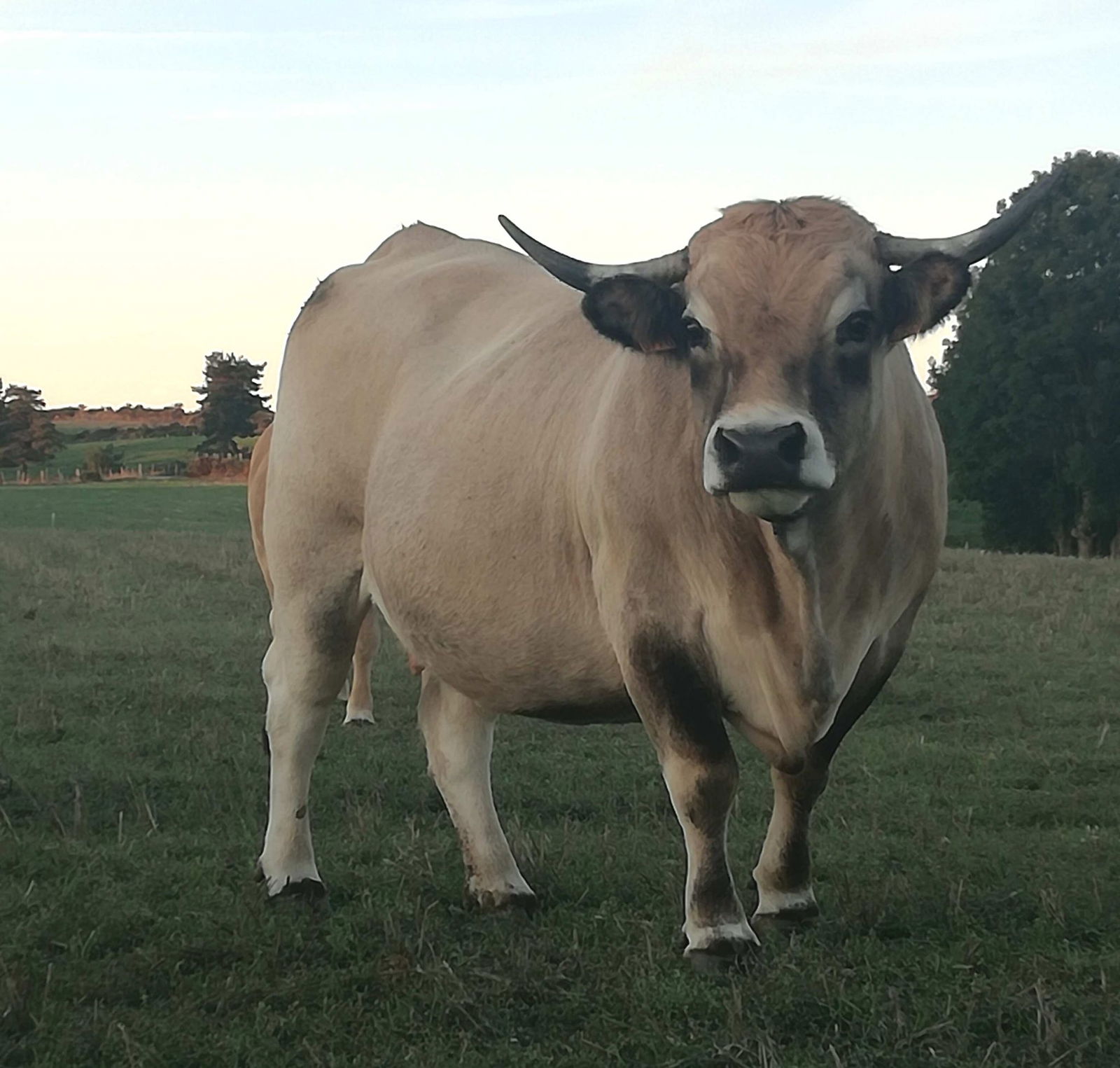 Gastfamilie Monts-de-Randon 250398