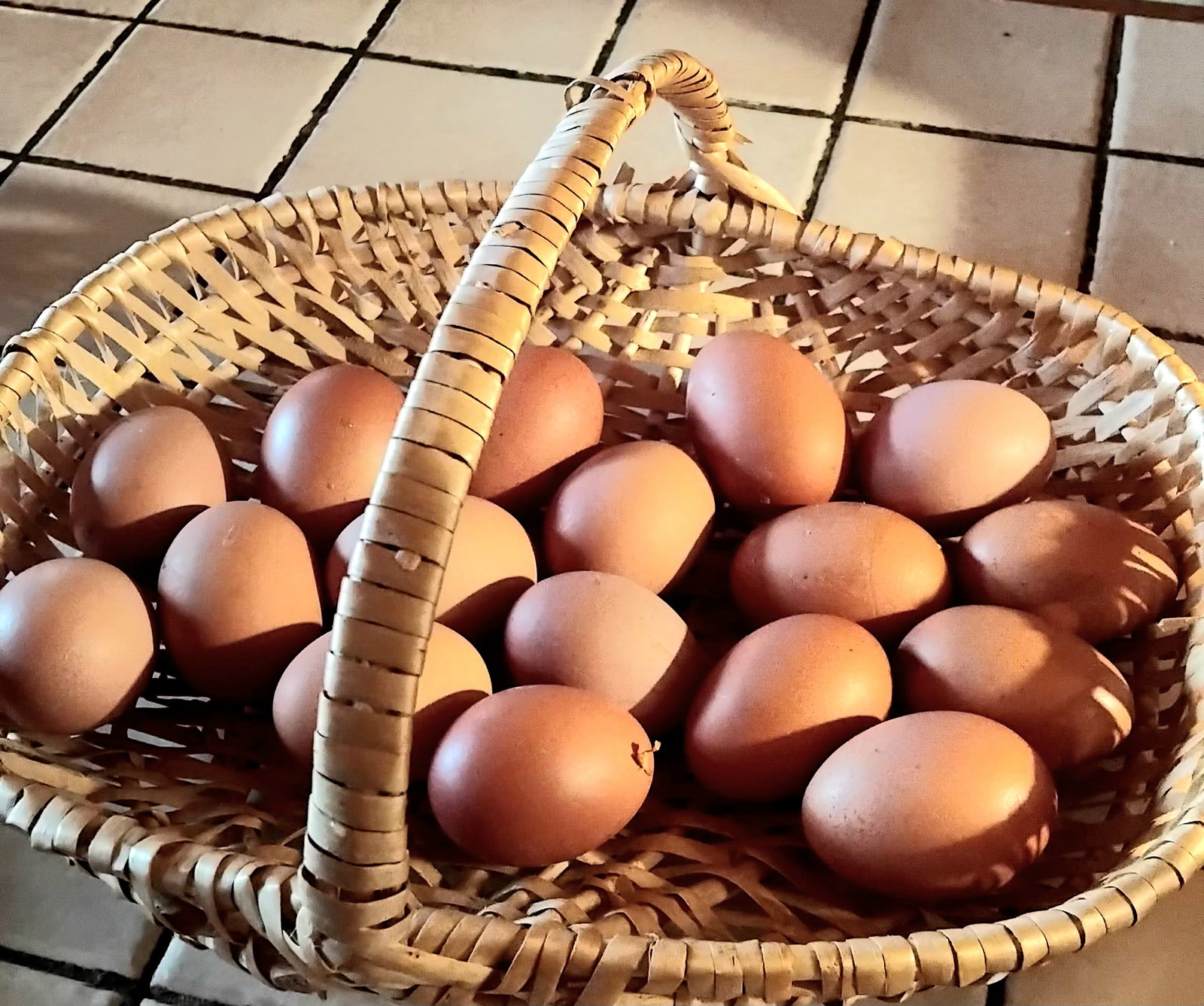 Homestay Monts-de-Randon 250398