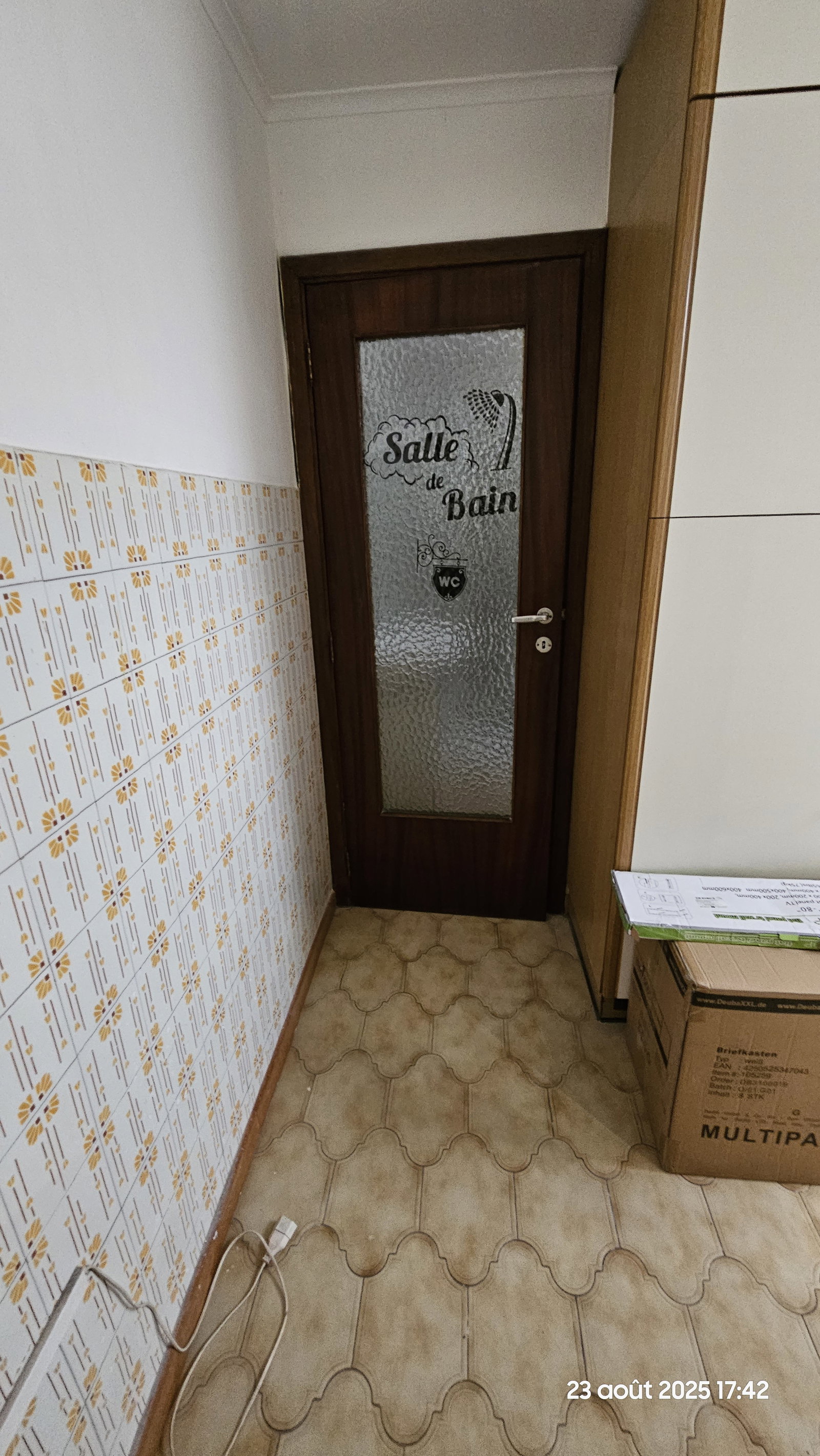 Kolokasie Saint-Nicolas 481464