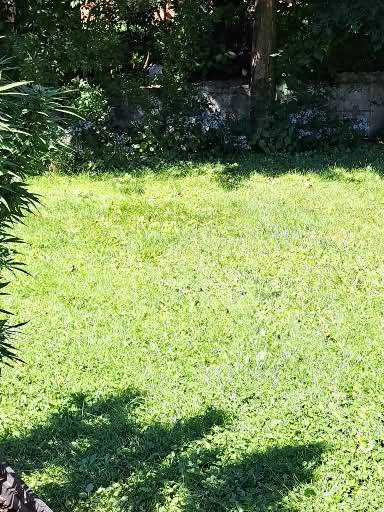 Homestay Québec 676936